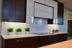 INLINE MODULAR KITCHEN